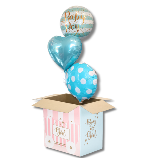 Boite Gender Reveal Boy